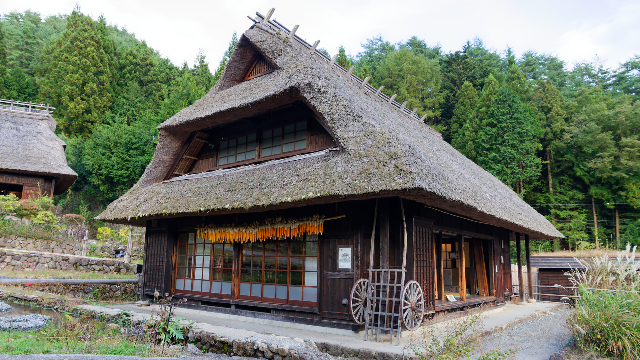 03-Mt Fuji (14) Saiko Iyashi-no-Sato.jpg